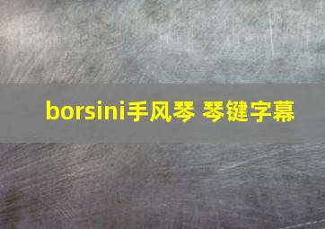 borsini手风琴 琴键字幕